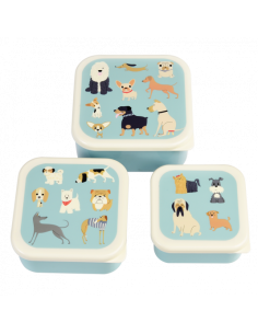 REX LONDON SET DE 3 BOITES...