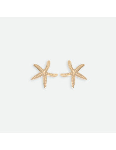 Etoile de mer Pin's 2